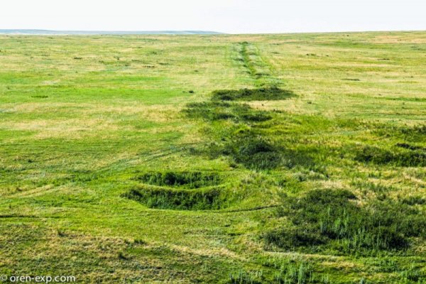 Кракен наркотики россия