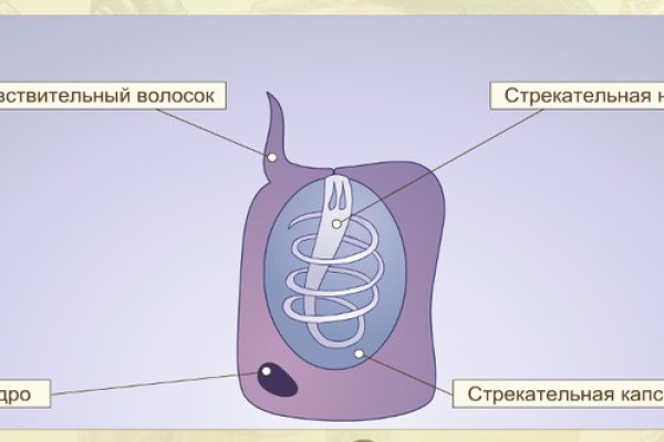 Почему кракен перестал работать