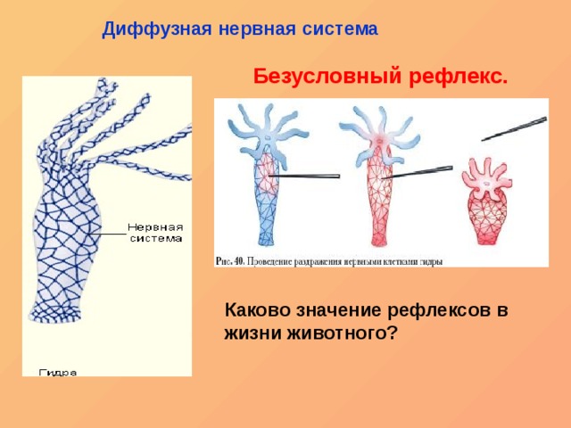 Кракен официальный сайт 2krnk