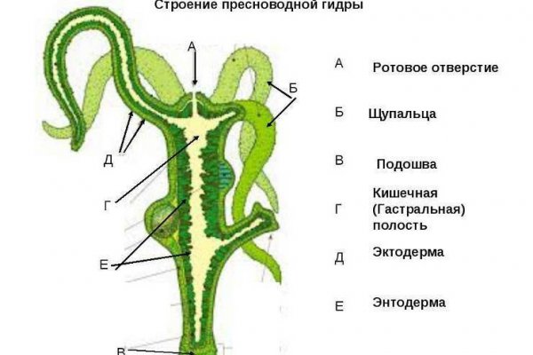 Клир ссылка на кракен 2025