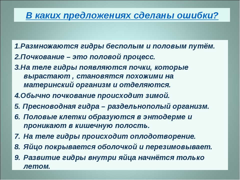 Даркнет официальный сайт на русском